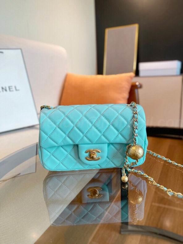 Chanel Handbags 303